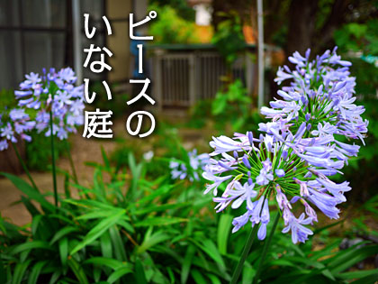でじたけ流教育論 digitake.com