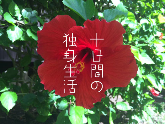 でじたけ流教育論 digitake.com