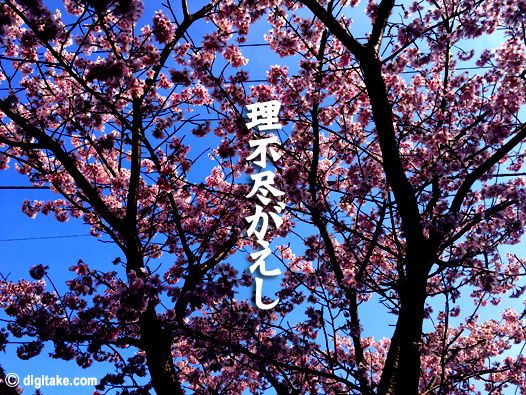 でじたけ流教育論 digitake.com