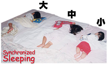 大中小