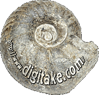 digitake.com