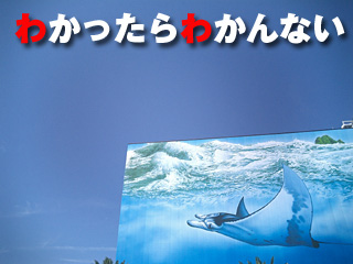 269　わかったらわかんない