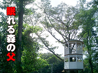 271　眠れる森の父