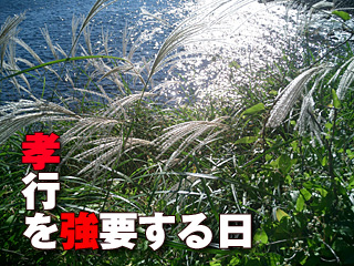 孝行を強要する日