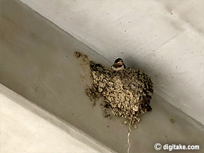 でじたけ流教育論 digitake.com