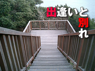 243　出逢いと別れ