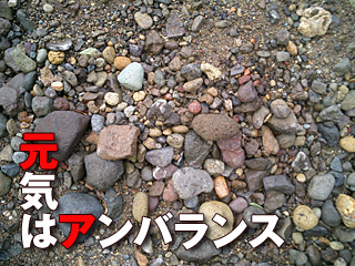 238　元気はアンバランス