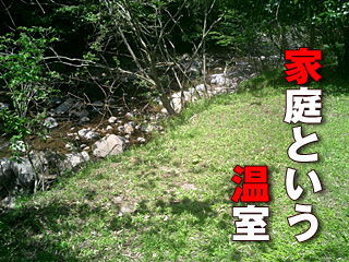 252　家庭という温室