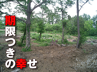 254　期限つきの幸せ